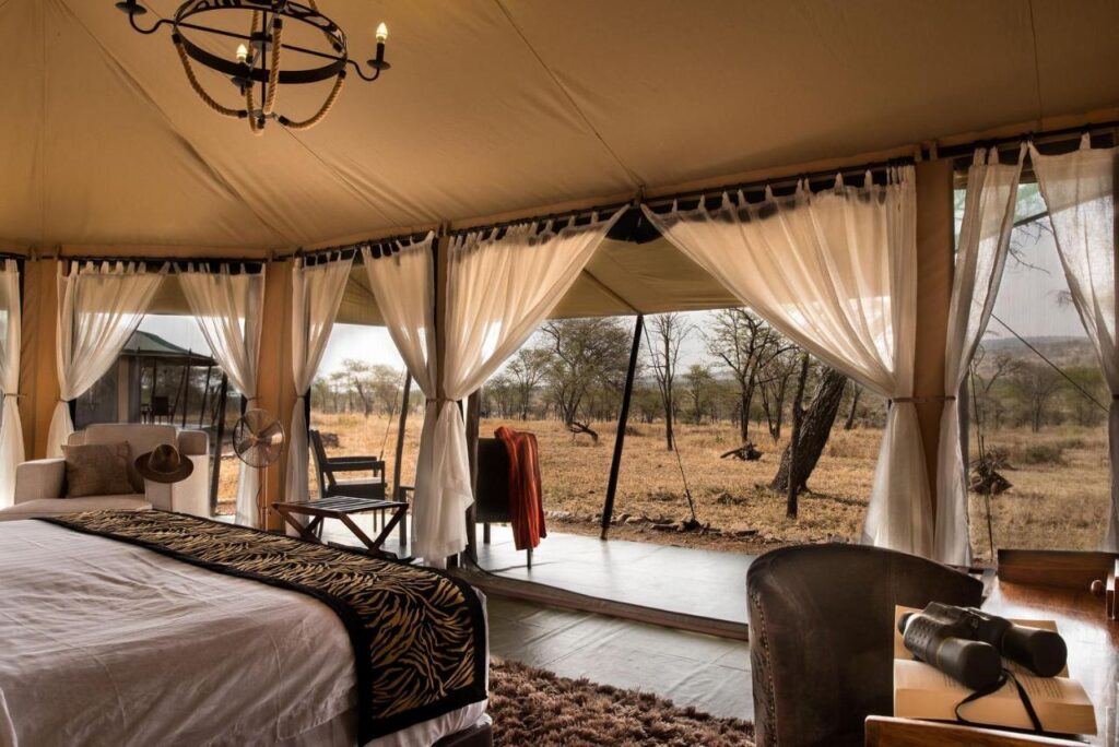 Luxury safari tent exterior of Ole Serai Camp Kogatende with acacia trees in Serengeti North