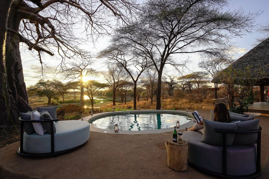 Luxurious Safari Lodge