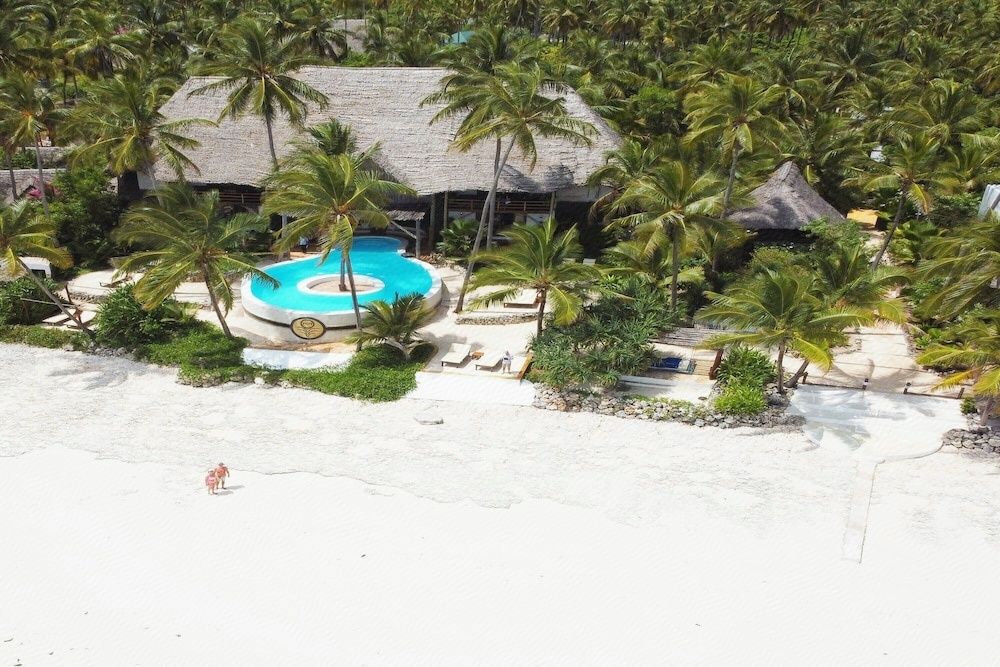 Relaxing atmosphere in the tropical garden of Joy of Zanzibar
