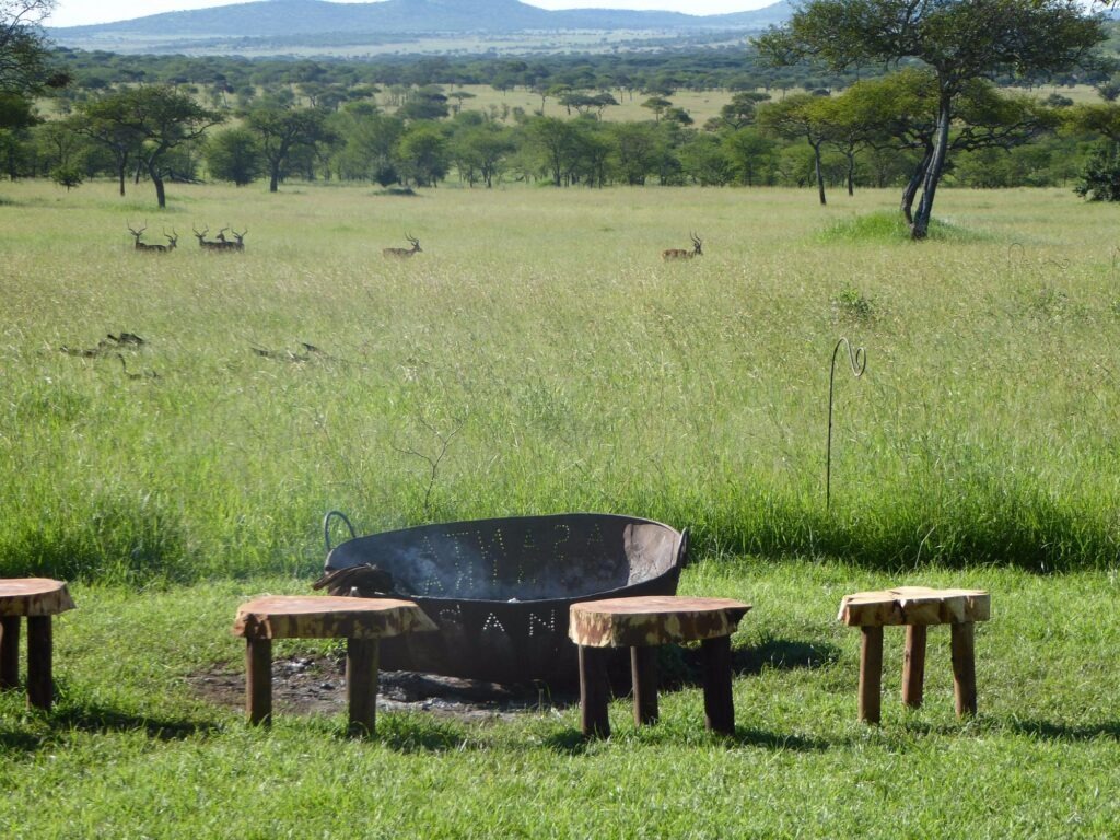 Relaxing in a safari lodge