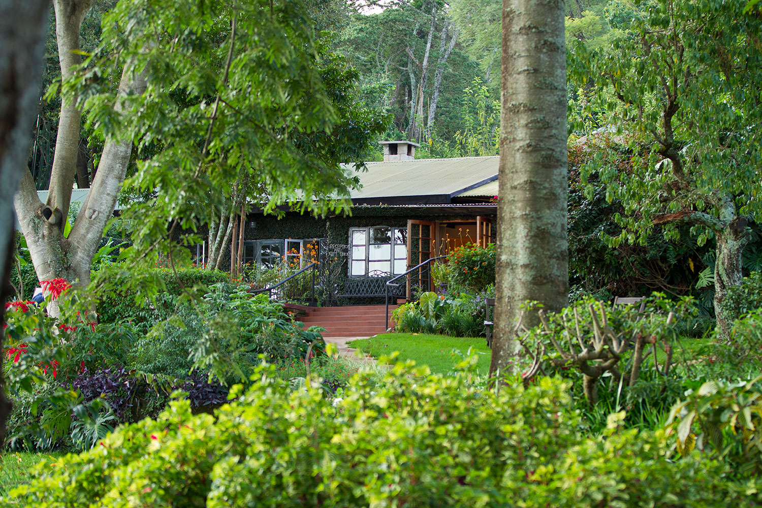Pathways through the vibrant organic vegetable gardens at Gibb's Farm