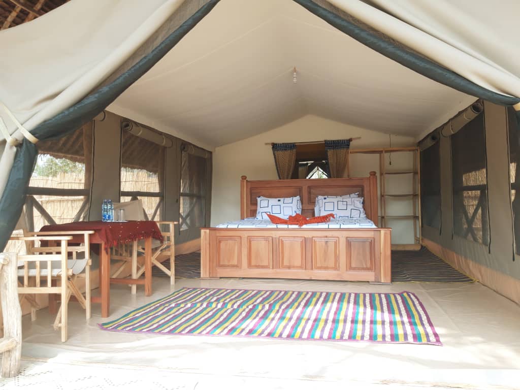 Restaurant or lounge area at Mloka Safari Lodge with contemporary lighting