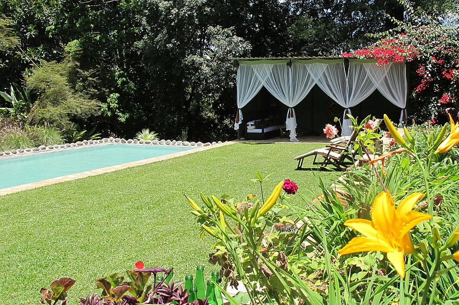 Scenic view of Ngare Sero surroundings with lush greenery