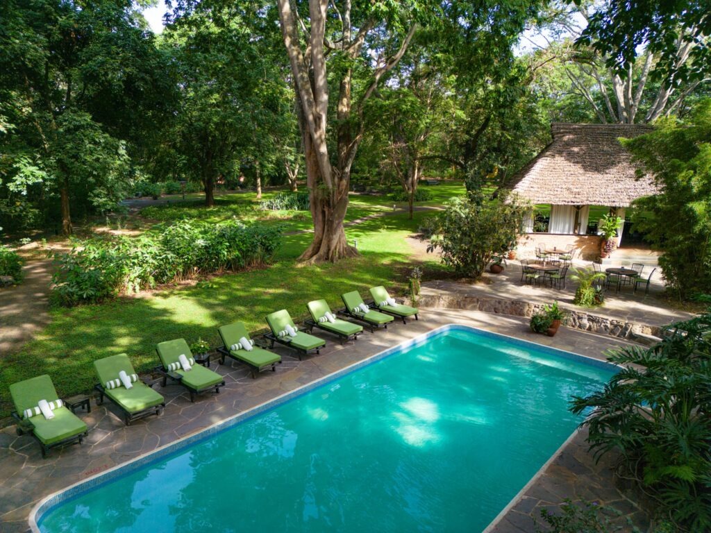 View of Mount Kilimanjaro from the grounds of Rivertrees on a clear day