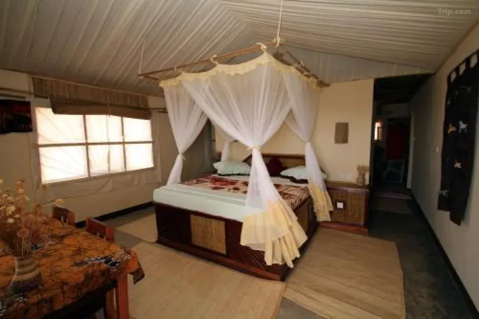 Outdoor view or garden area around Ruaha Hiltop Lodge