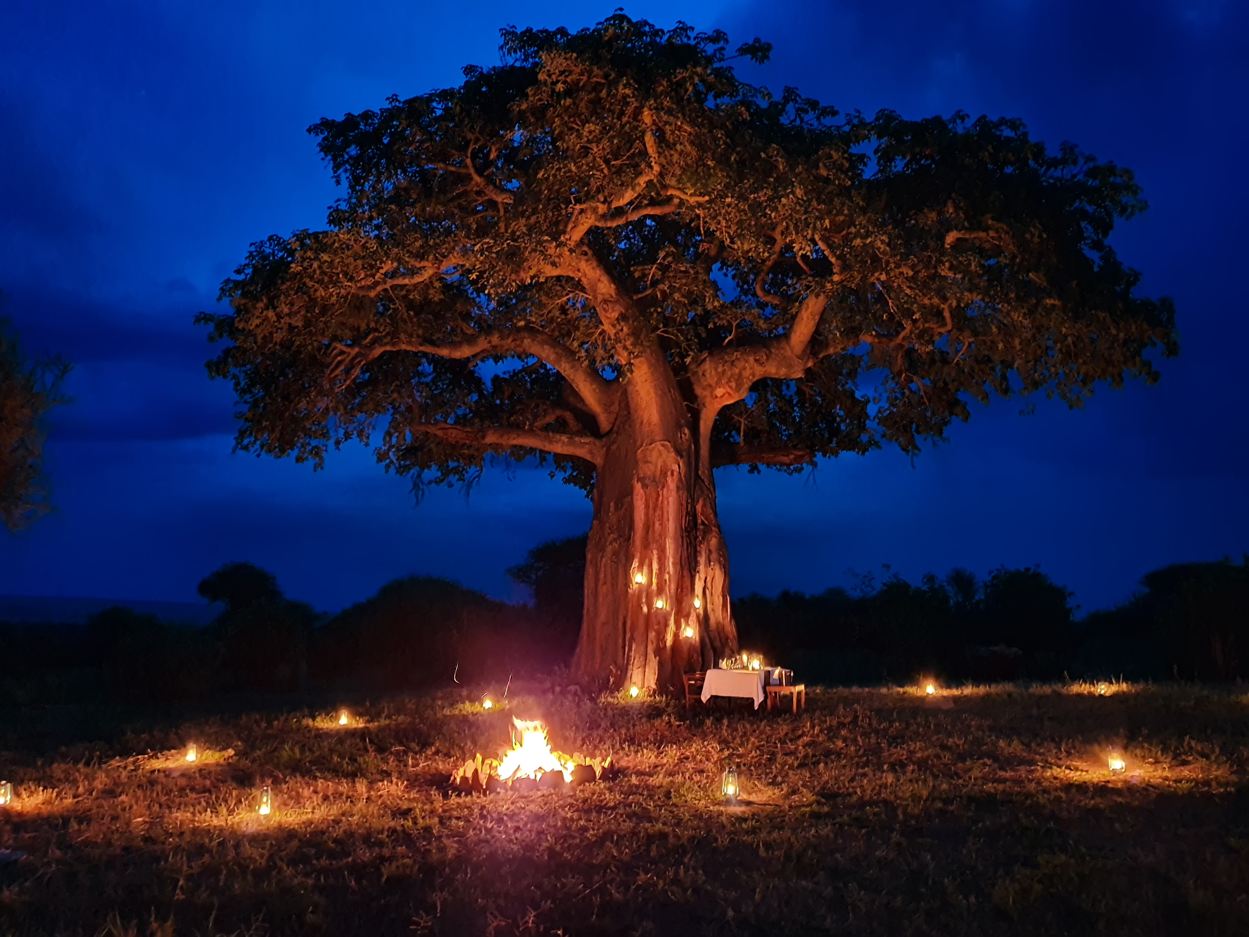 Main lounge or dining area of Tarangire Kuro Treetops Lodge with open design