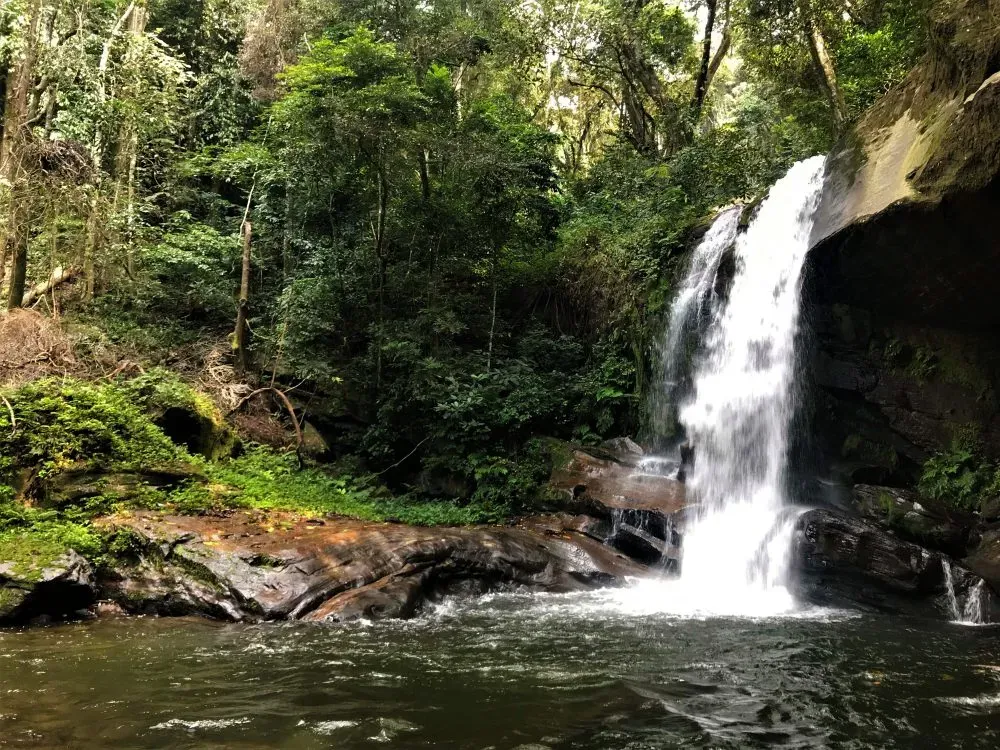 Guests enjoying the natural surroundings or a guided walk from Hondo Hondo