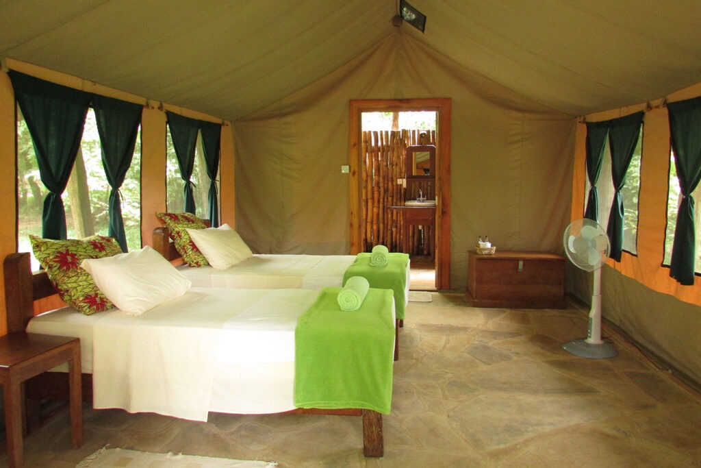View of the Udzungwa Mountains rainforest canopy from the camp