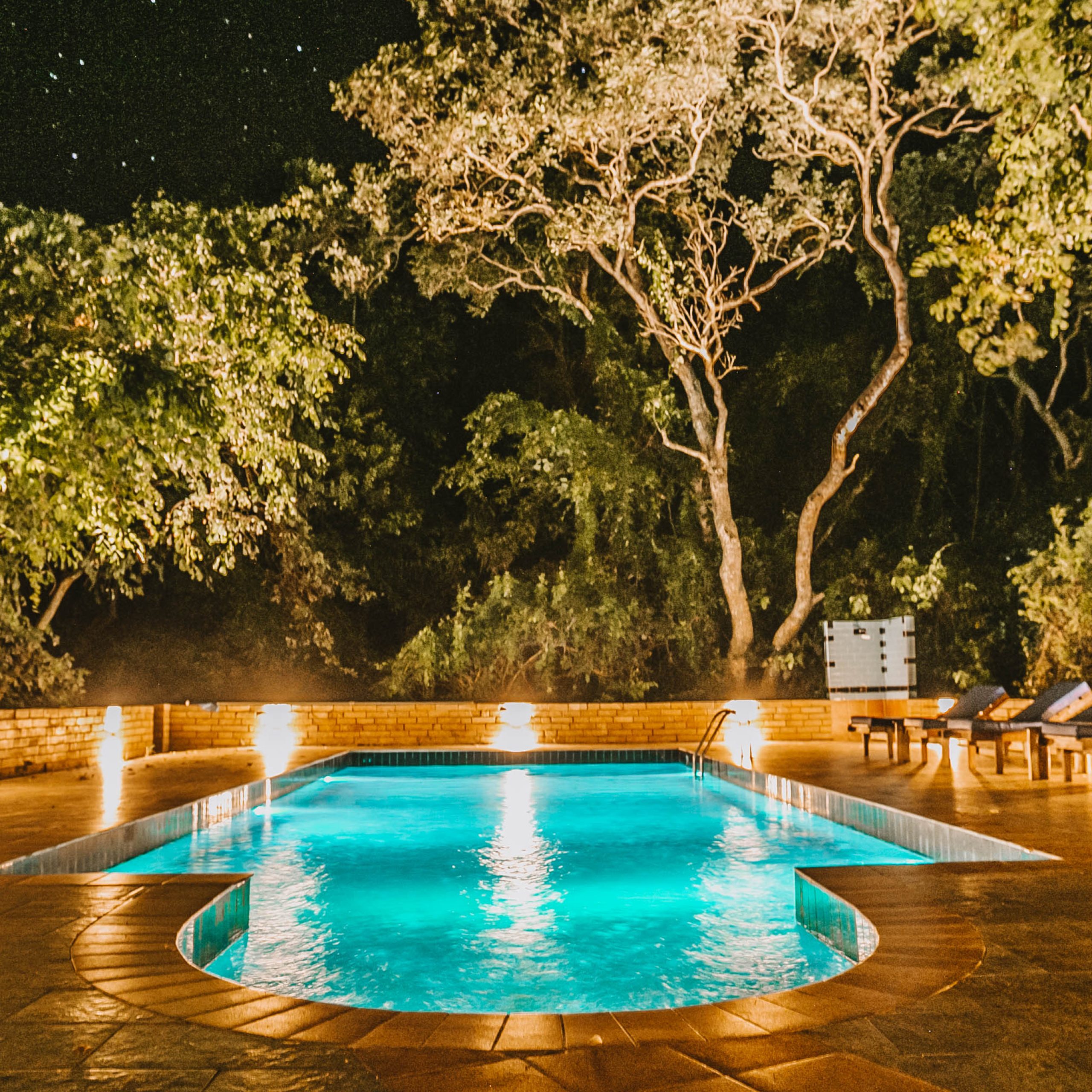 Guests relaxing by the pool or in the lounge at Selous Kinga Lodge