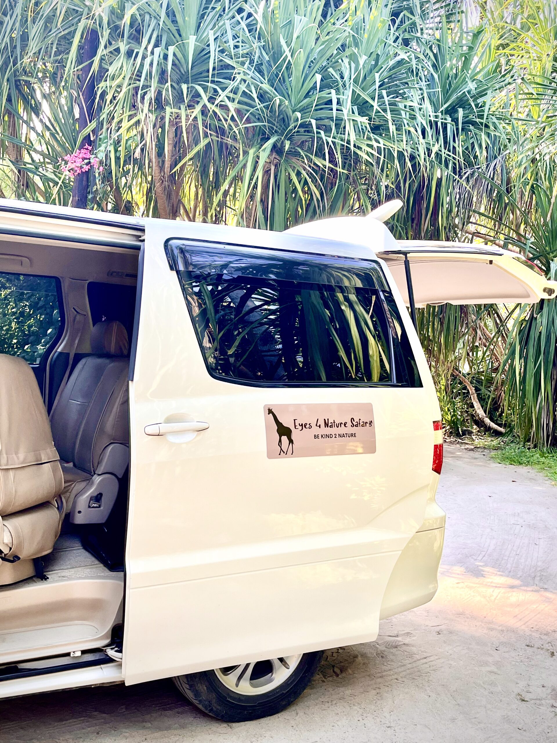 Safari vehicle in the vastness of Tanzania