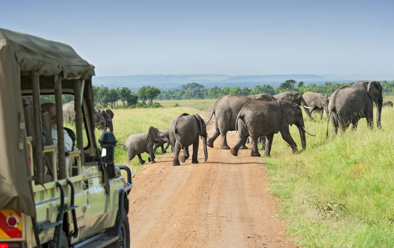 Close-up of binoculars and a camera, essential gear for wildlife viewing on safari.