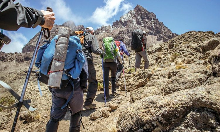 Travel first-aid kit with sunscreen and insect repellent, crucial for a Tanzania safari.