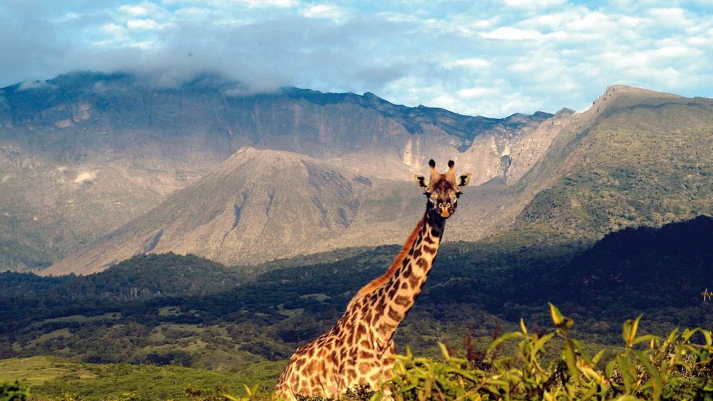 Scenic view of Tanzania, showcasing its overall safety for travel and tourism