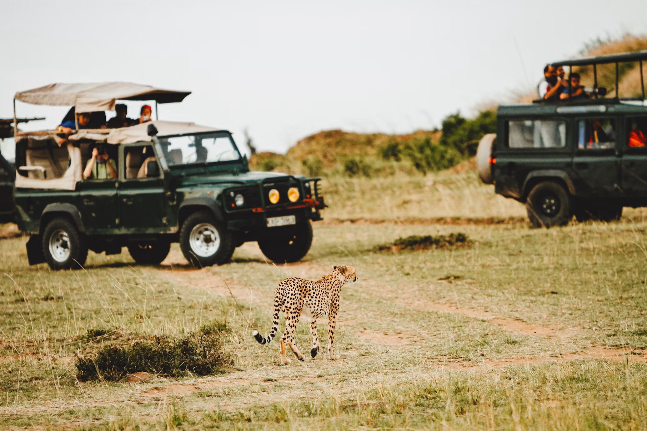 Tourist respectfully asking Maasai women for permission to take a photo.
