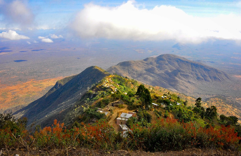 Terraced farming on the slopes of the Usambara Mountains, showcasing local agriculture.