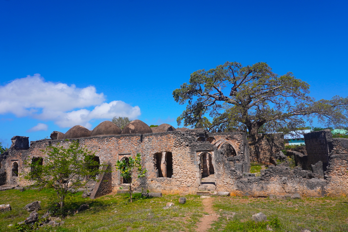 Ruins of the Great Mosque of Kilwa Kisiwani, showcasing Swahili architecture and historical significance. (Placeholder, actual image needed)