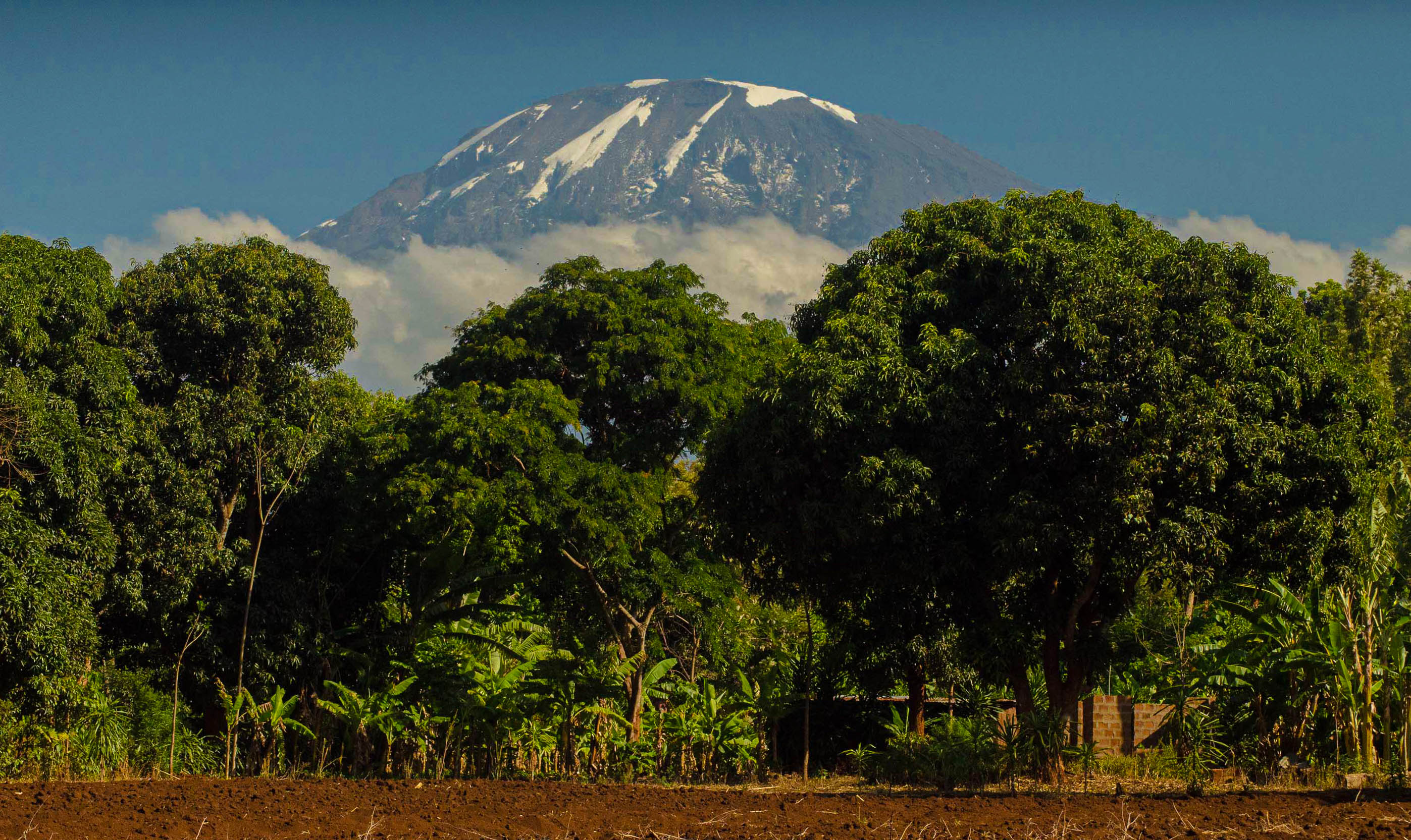 View of Mount Kilimanjaro's snow-capped peak from the outskirts of Moshi town.