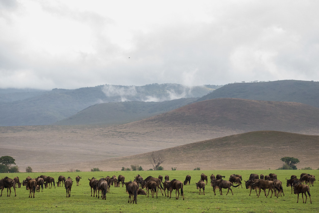 View of the Ngorongoro Crater