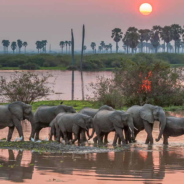 Neatly packed open suitcase with safari essentials like binoculars, hat, and neutral-colored clothing.