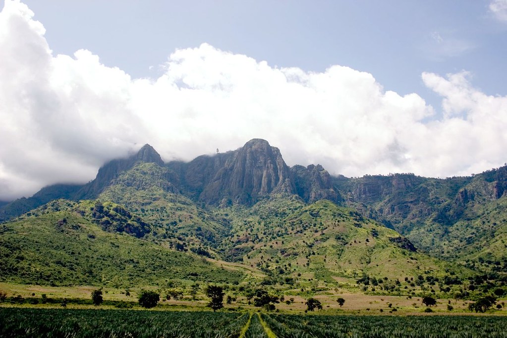 Hiking trail in the Usambara Mountains
