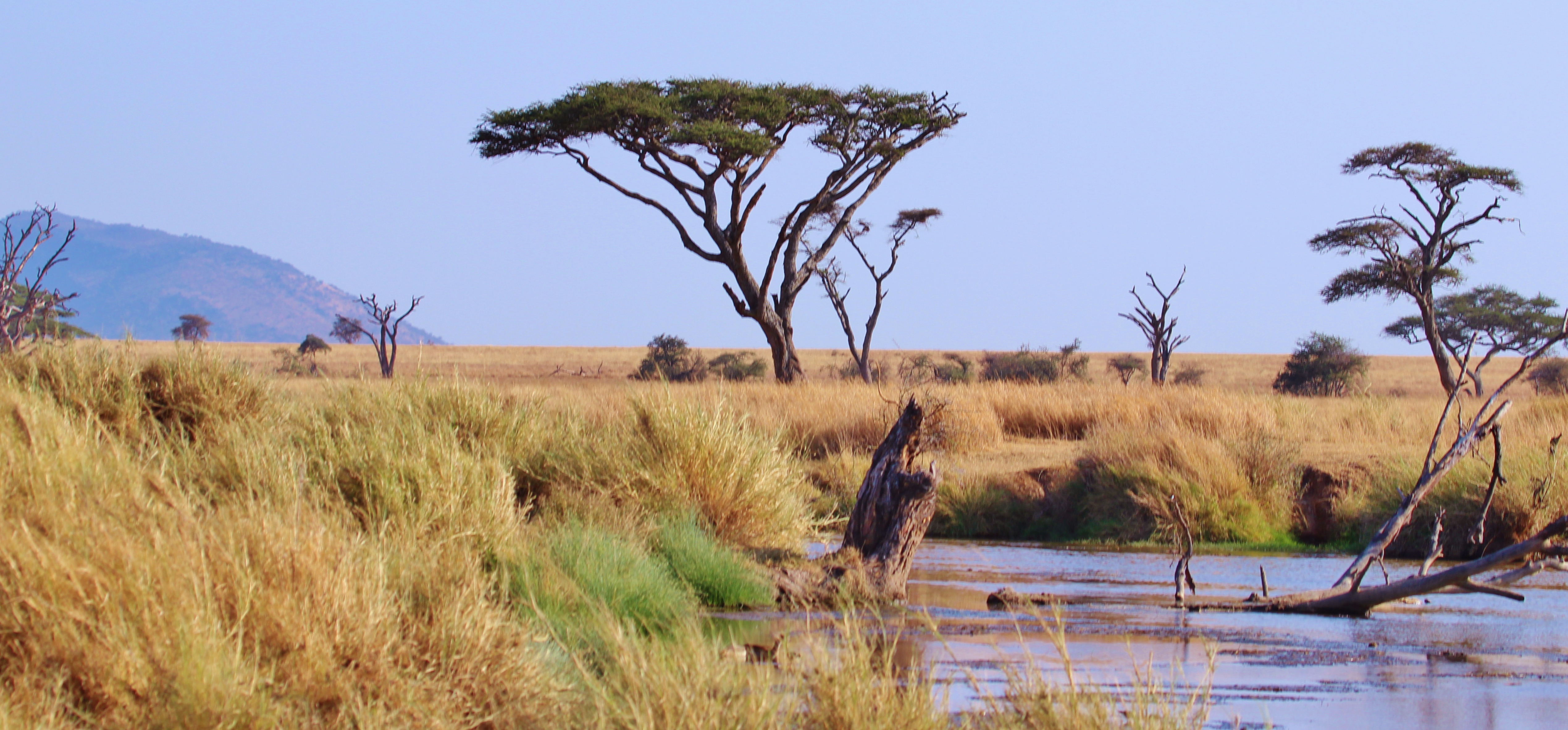 National Parks Tanzania eyes4Nature
