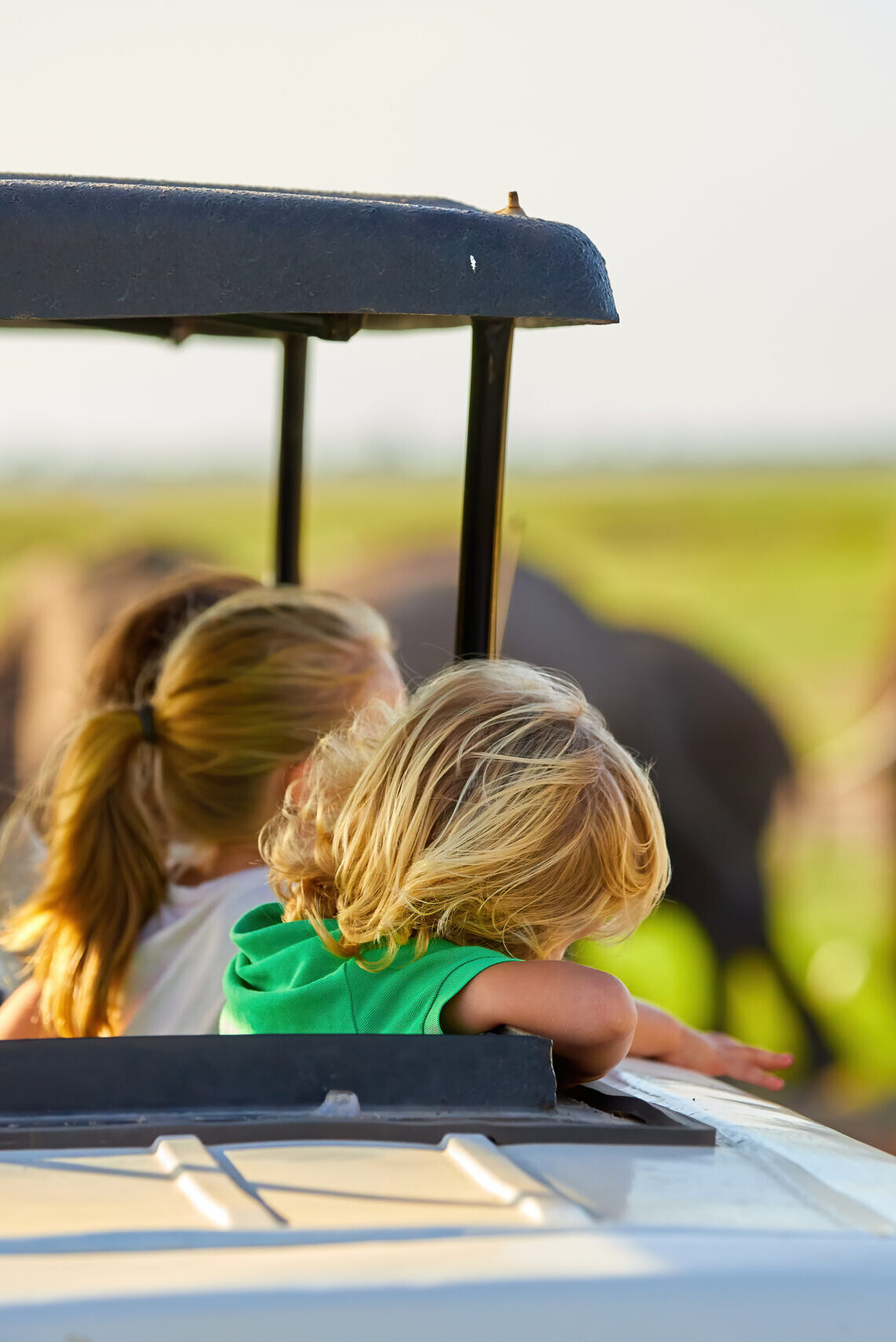 FAMILY SAFARIS