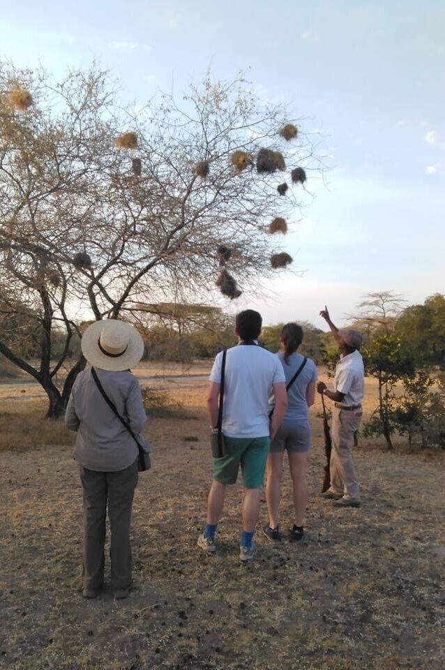 WALKING SAFARIS