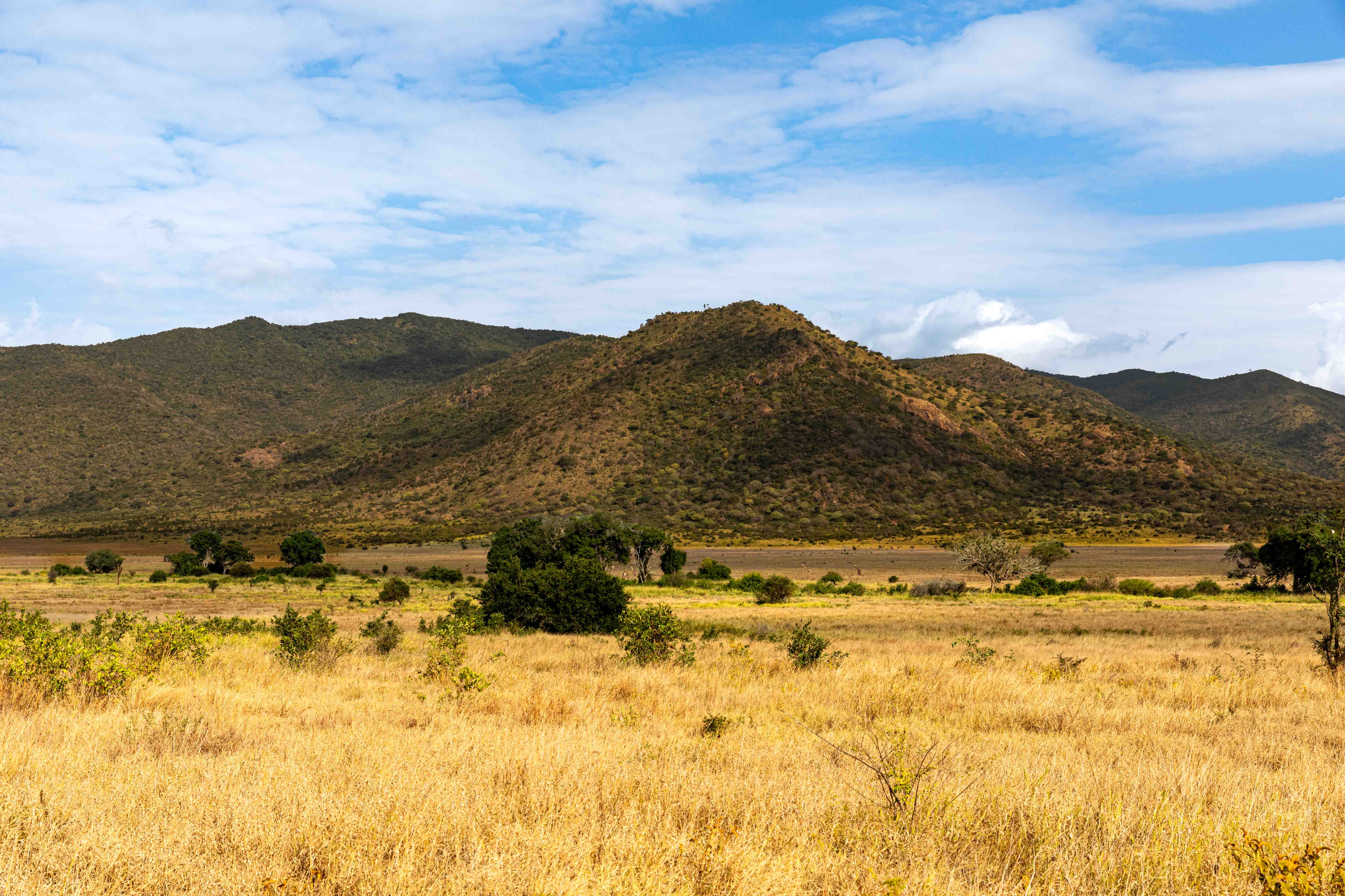 PHOTO SAFARIS