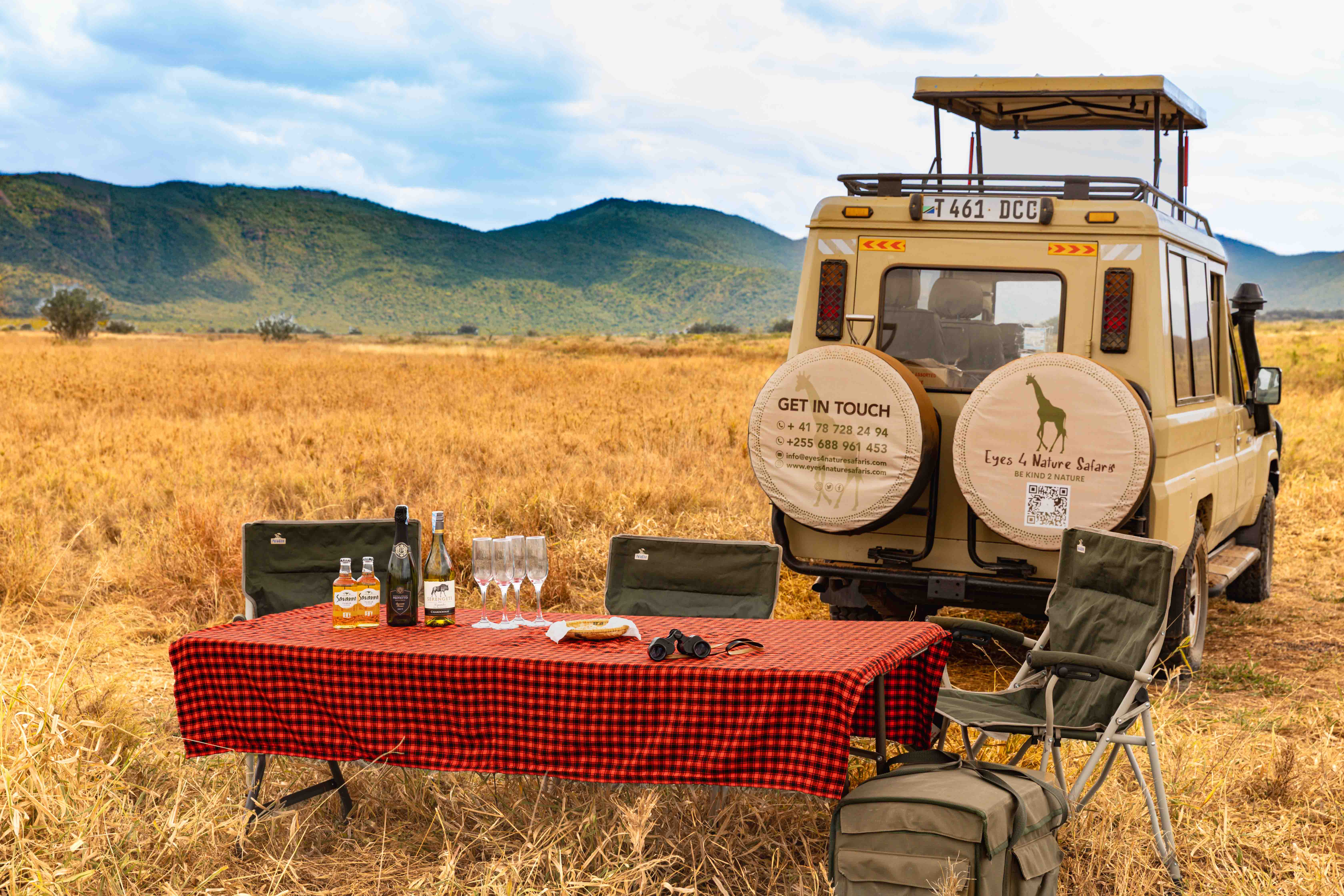 Safari Scene
