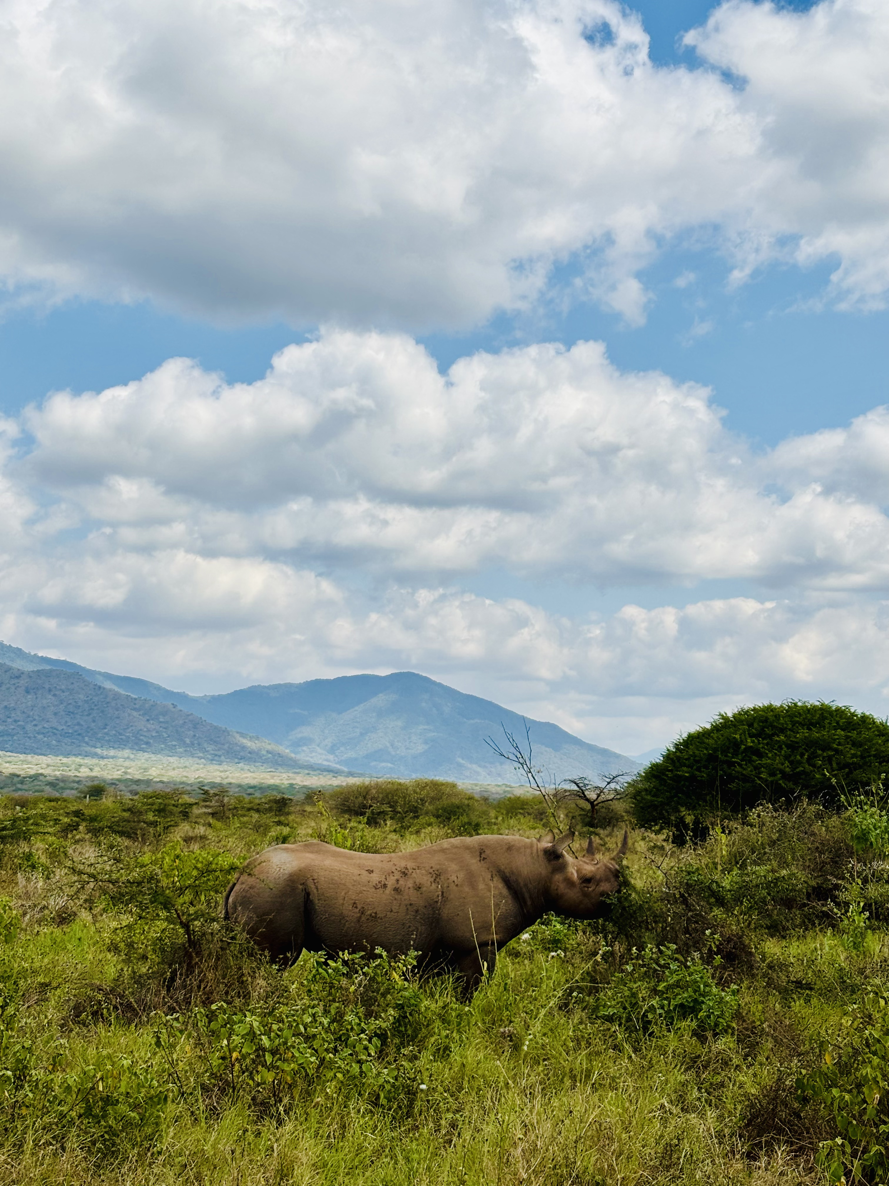 Tanzania National Parks Overview