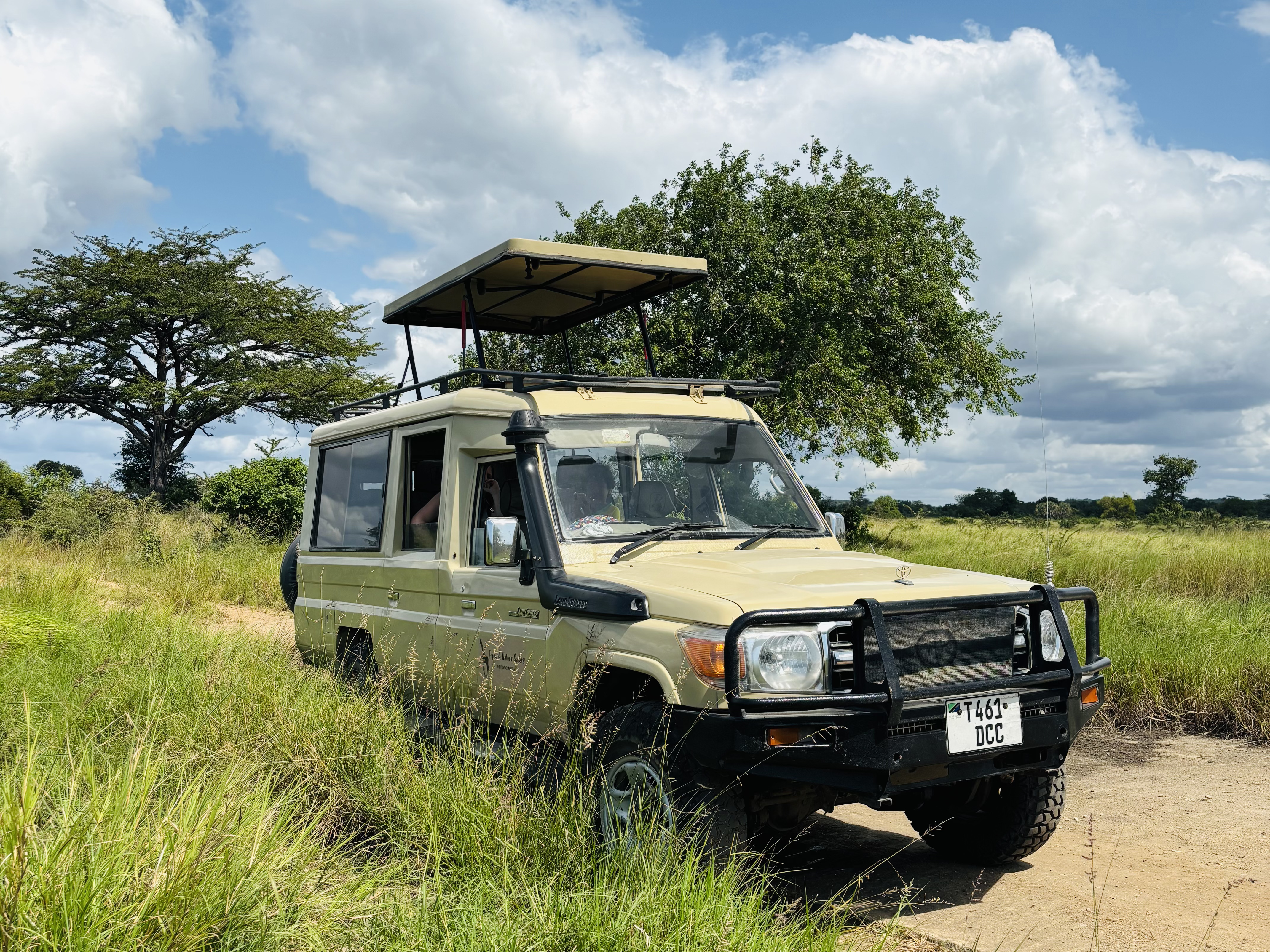 Wildlife View