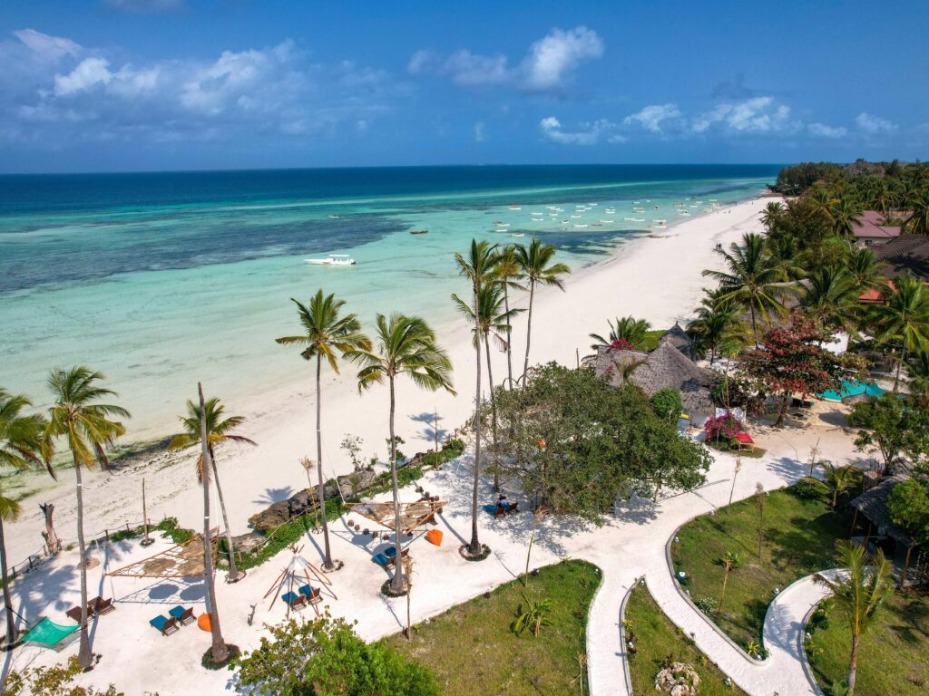 "7 Days Southern Adventure: Nyerere Wilderness & Dar es Salaam's Coast"