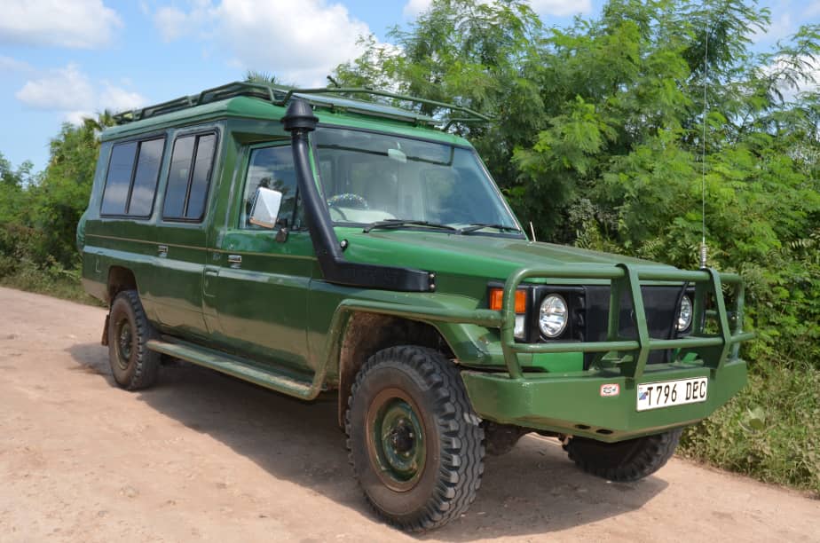 Safari Camp