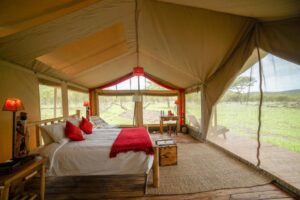 Asanja Moru- Private safaris- Eyes 4 Nature Safaris- Tanzania