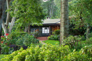 Gibbs Farm- Eyes 4 Nature Safaris- Private safaris