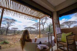 Asanja Ruaha- Private safaris- Eyes 4 Nature Safaris- Tanzania